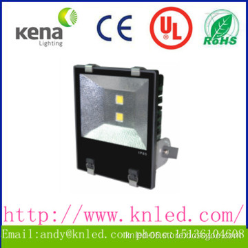 IP65 100w 120w Meanwell driver led flood light